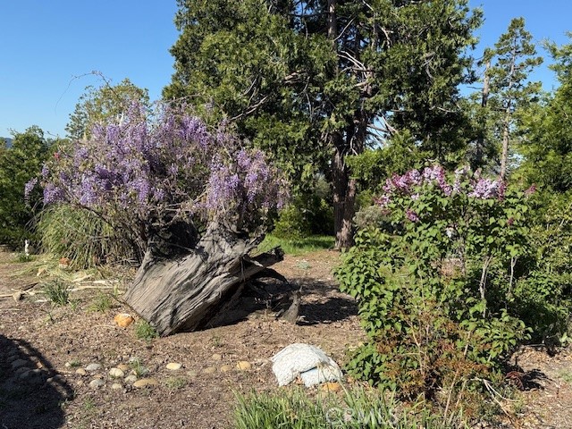 39468 Summit Dr, Oakhurst, CA 93644