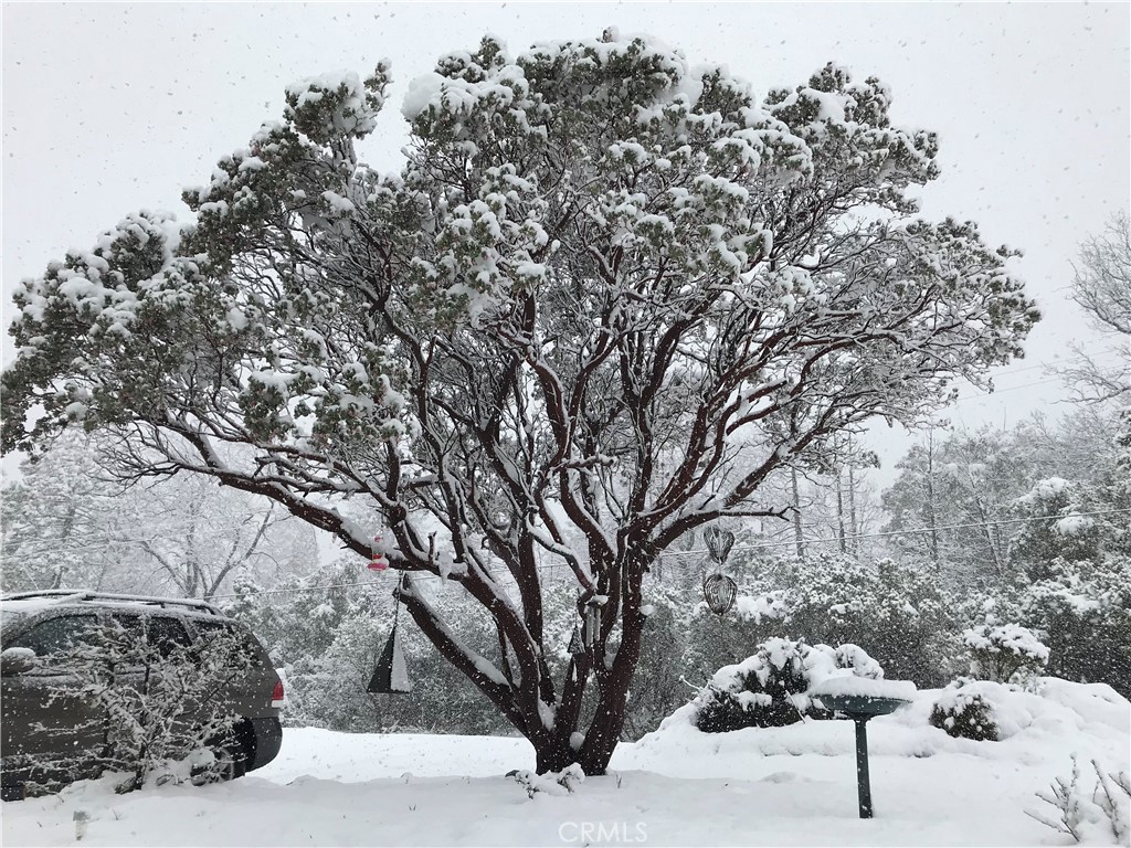 39468 Summit Dr, Oakhurst, CA 93644