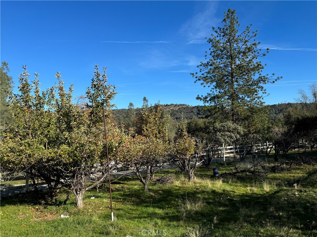 47515 Road 620, Oakhurst, CA 93644
