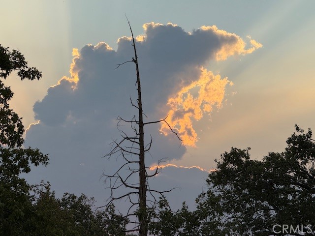 39468 Summit Dr, Oakhurst, CA 93644