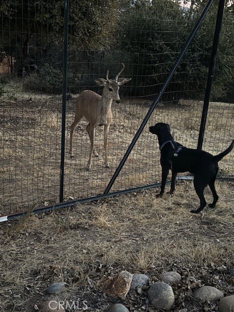 39468 Summit Dr, Oakhurst, CA 93644