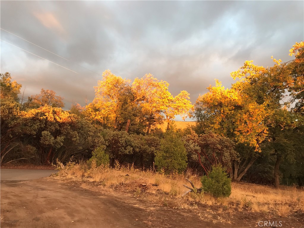 39468 Summit Dr, Oakhurst, CA 93644