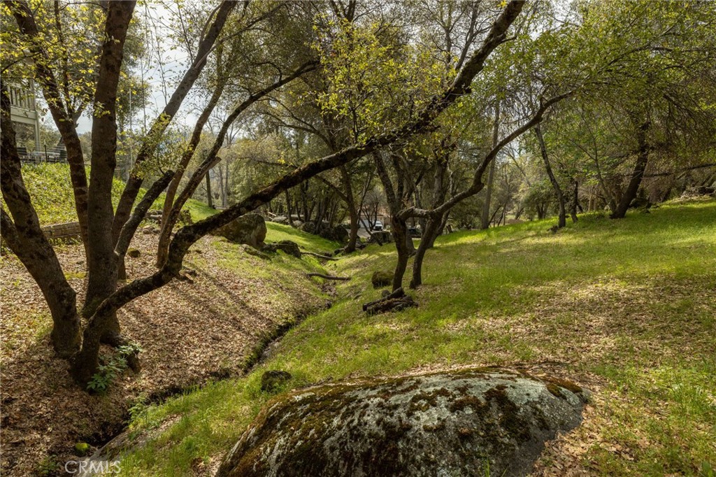 51739 Quail Run, Oakhurst, CA 93644