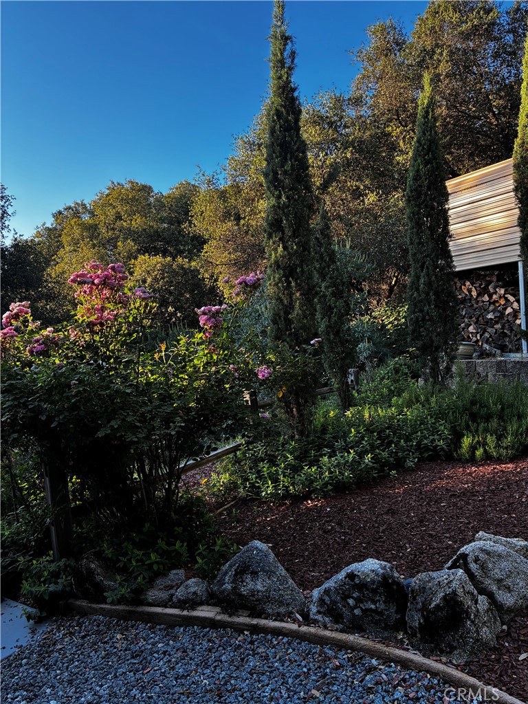 39309 Forest Park Ln, Oakhurst, CA 93644