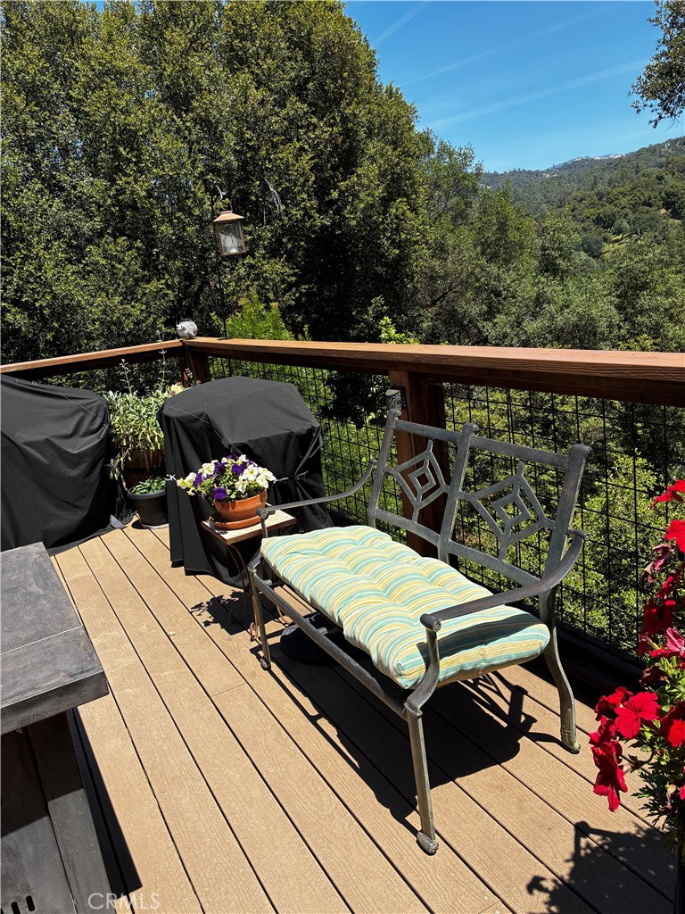 39309 Forest Park Ln, Oakhurst, CA 93644
