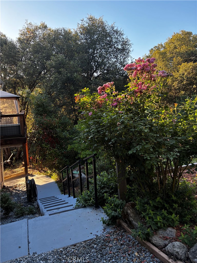 39309 Forest Park Ln, Oakhurst, CA 93644