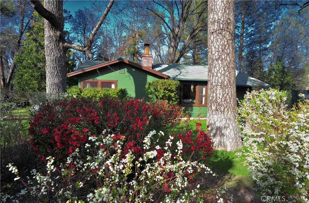 45695 Lauri Lane, Oakhurst, CA 93644