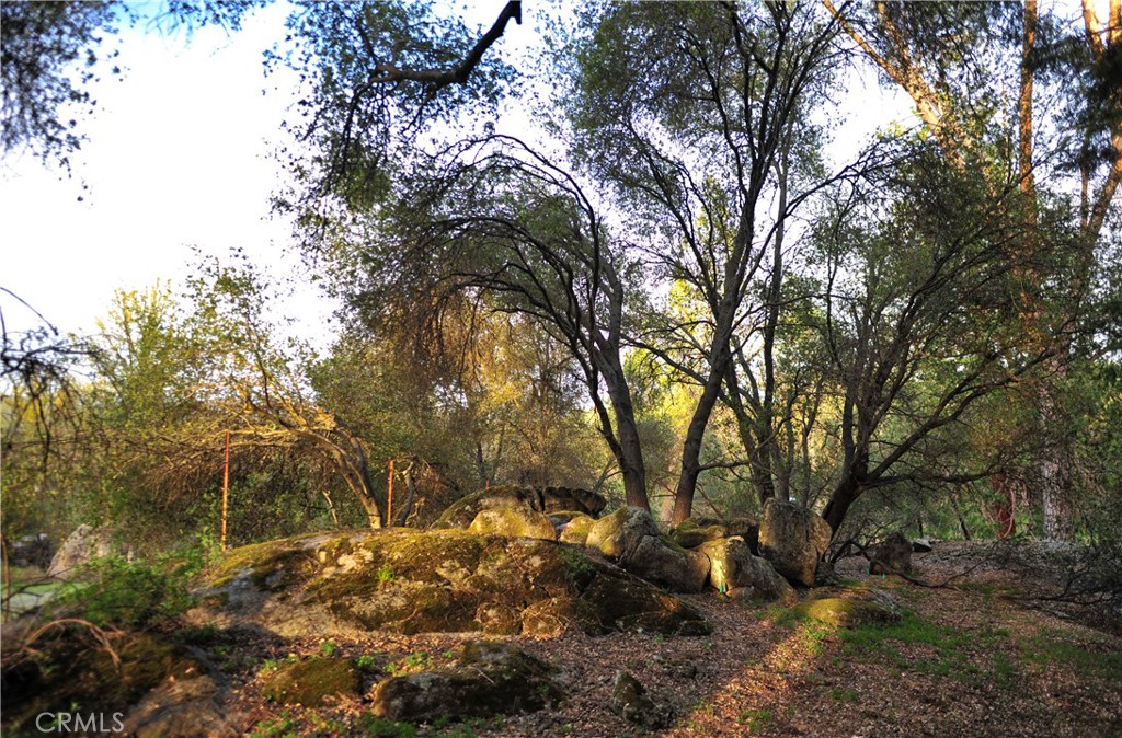 45695 Lauri Lane, Oakhurst, CA 93644