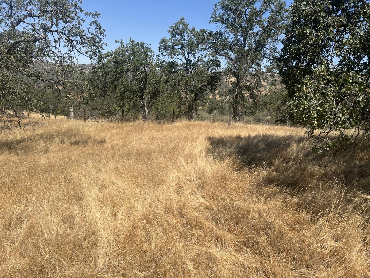 0 2.97AC Big Rock Ct., Coarsegold, CA 93614