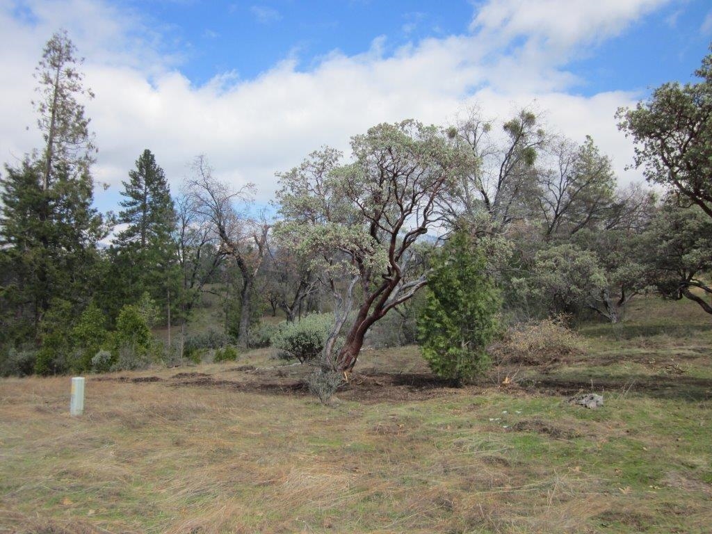 0 Lot #7 Hard Times Ranch, North Fork, CA 93643
