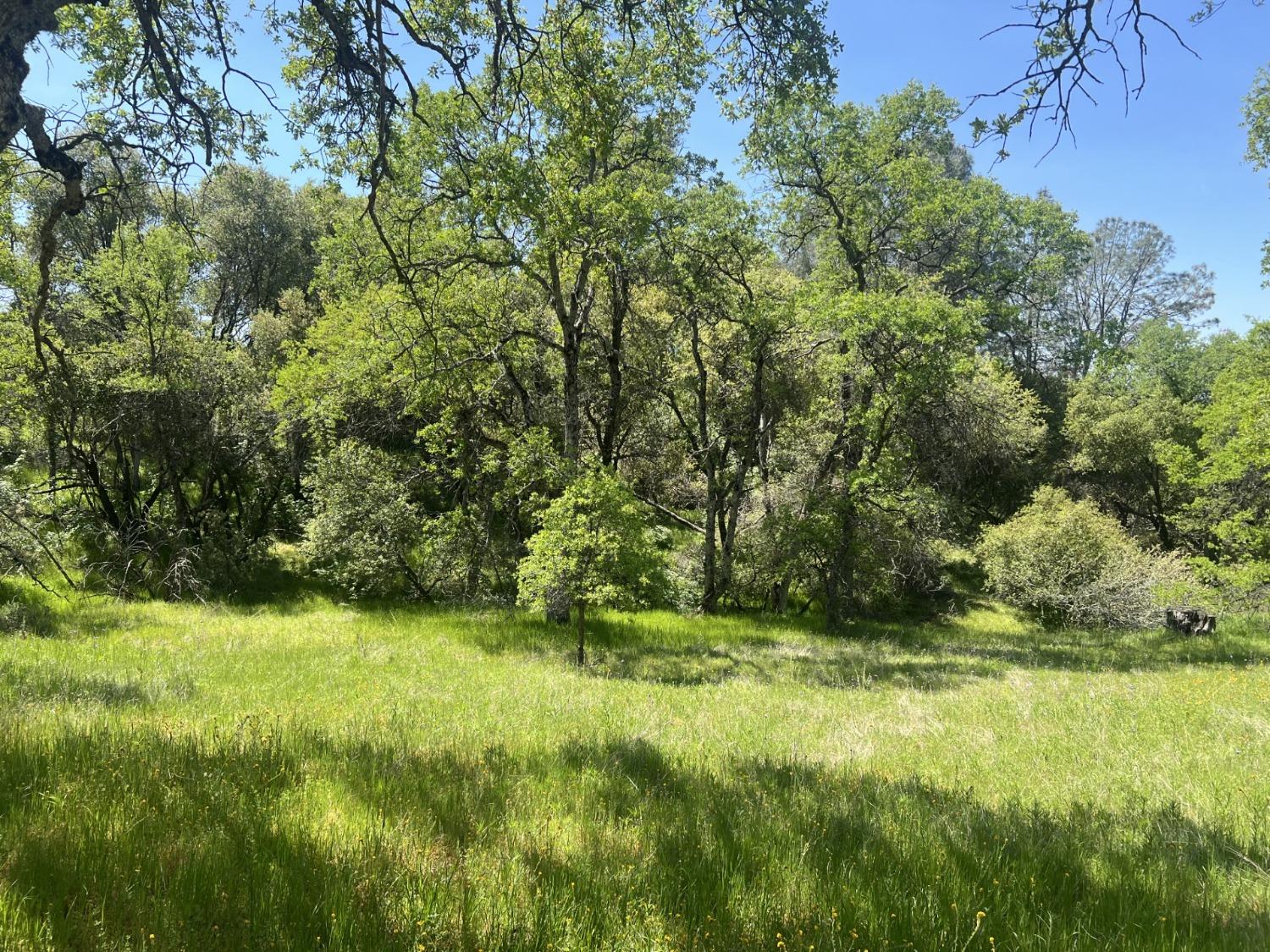 0 20AC Veater Ranch Rd, Coarsegold, CA 93614