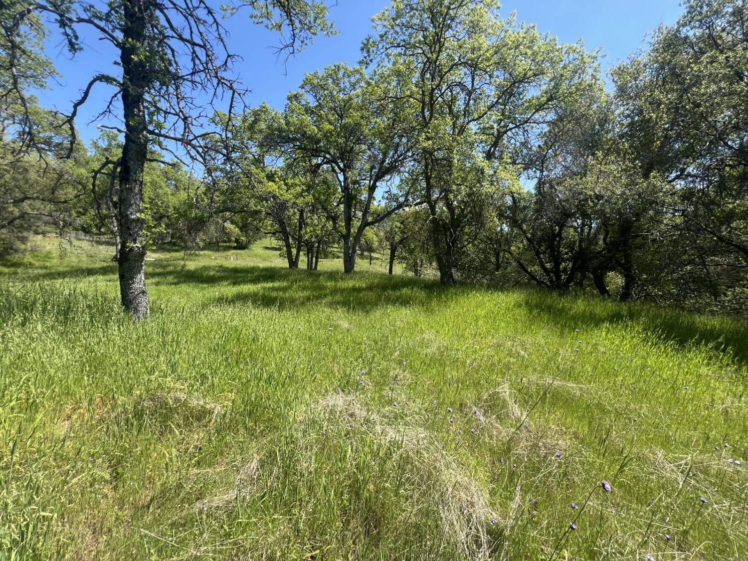0 20AC Veater Ranch Rd, Coarsegold, CA 93614