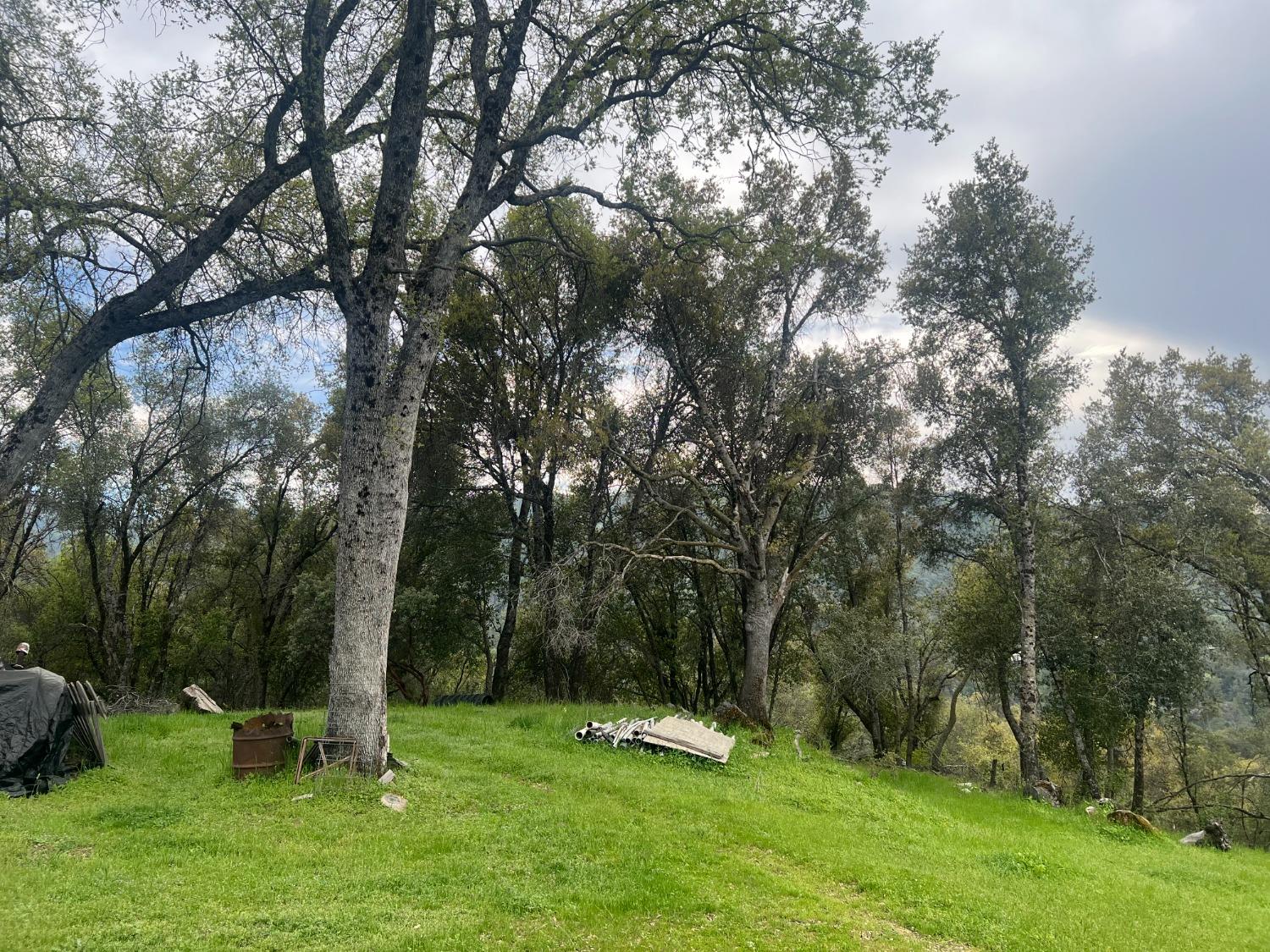 50364 Road 426, Oakhurst, CA 93644