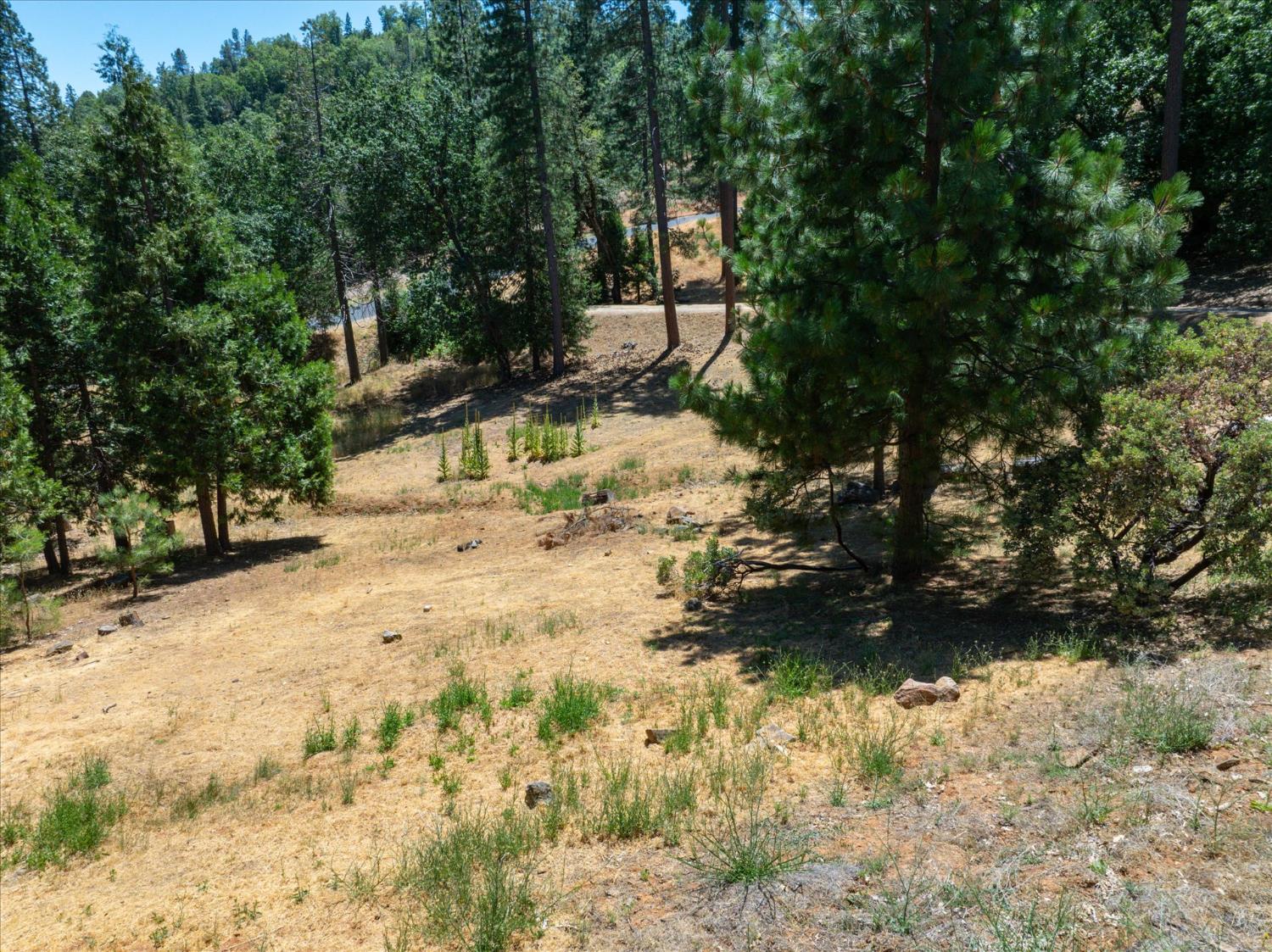 53401 Timberview Rd, North Fork, CA 93643