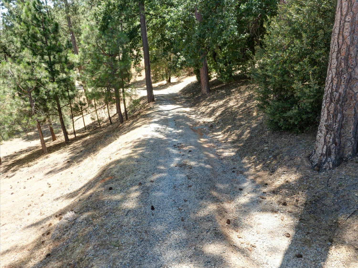 53401 Timberview Rd, North Fork, CA 93643