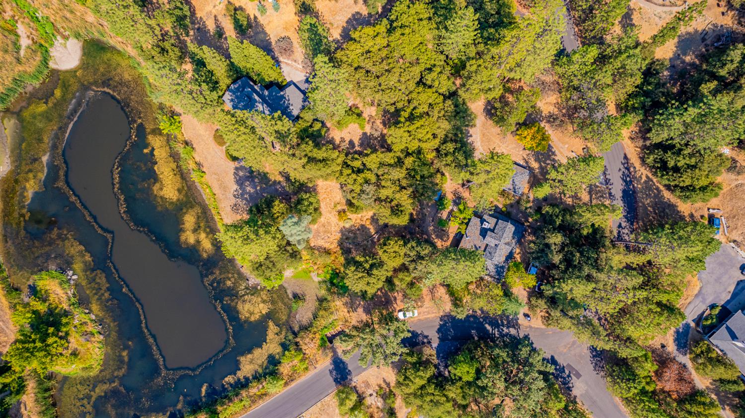 50705 Pineview Ct, Oakhurst, CA 93644
