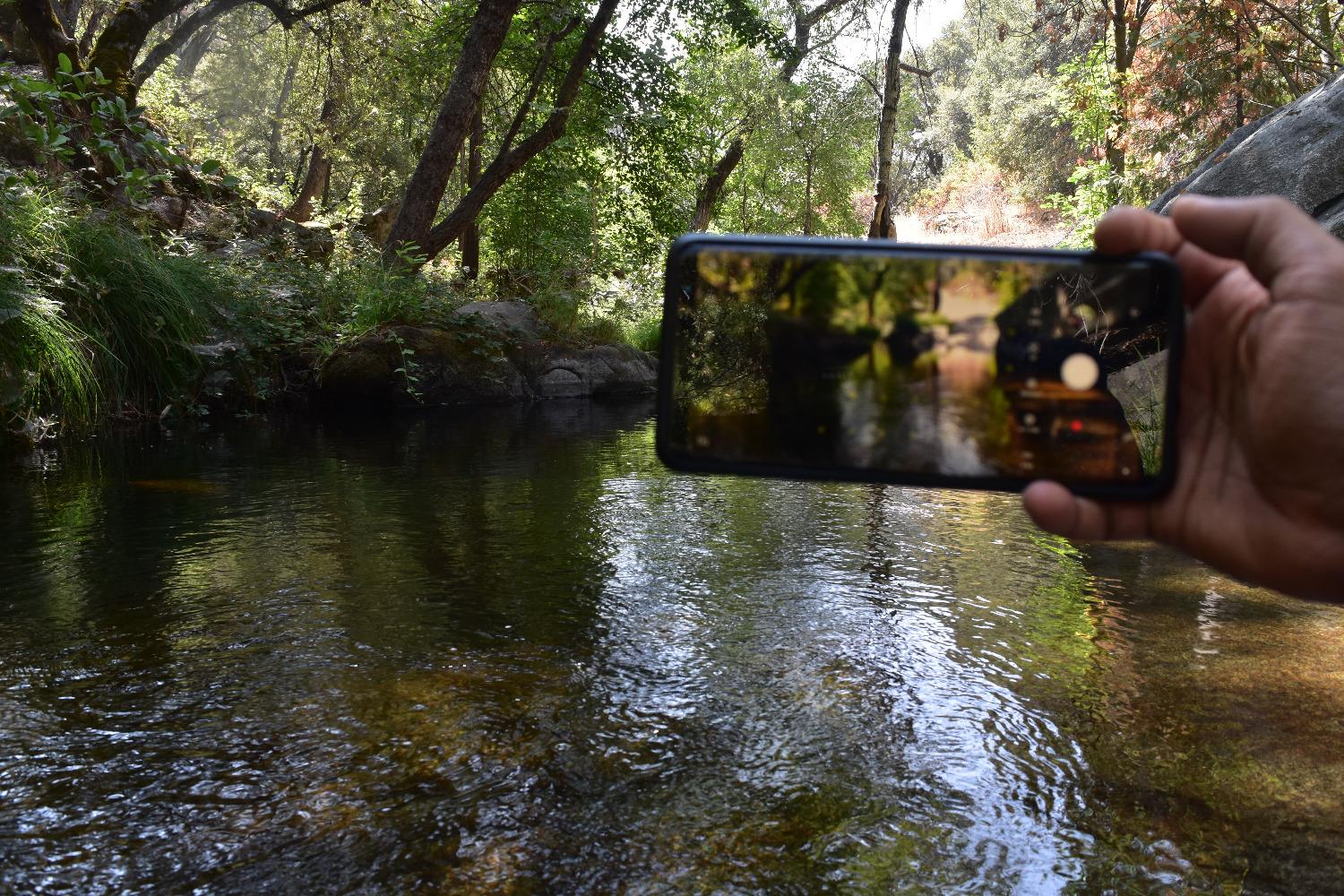 42492 Buckeye Rd, Oakhurst, CA 93644