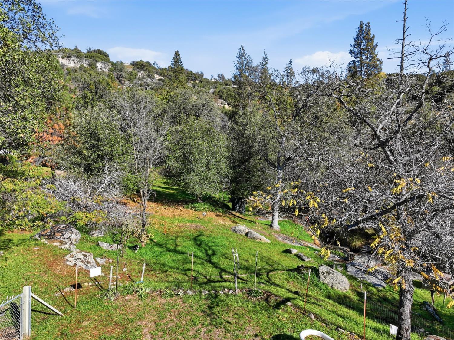50015 Lilac Ln, Oakhurst, CA 93644