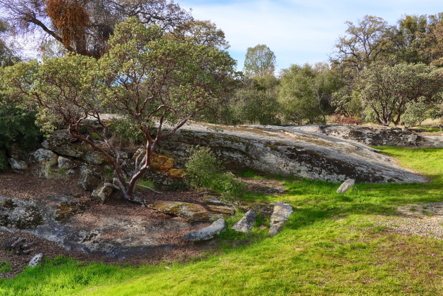 40740 Road 425A, Oakhurst, CA 93644