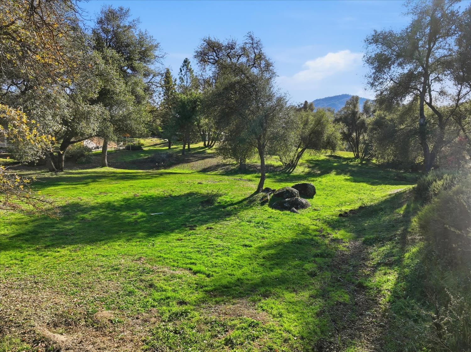 45464 Dillon Dr, Ahwahnee, CA 93601