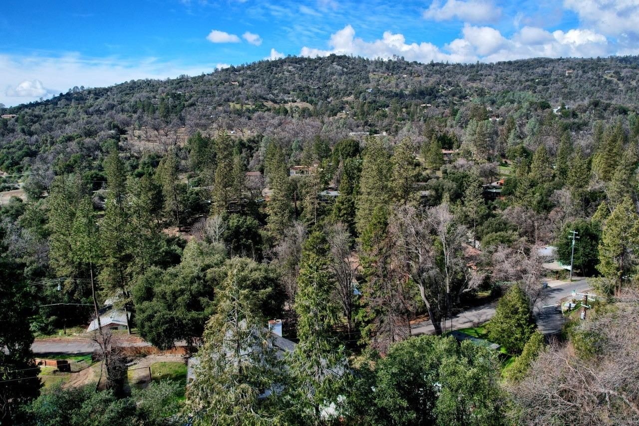 42583 Shady Ln, Oakhurst, CA 93644