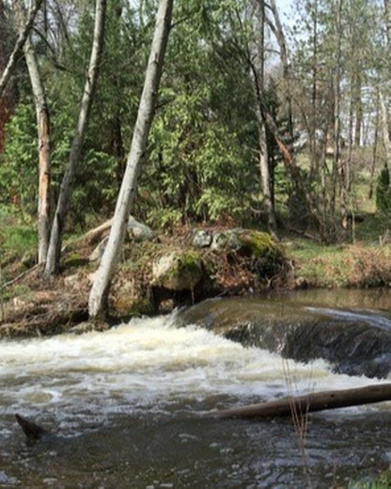 42583 Shady Ln, Oakhurst, CA 93644