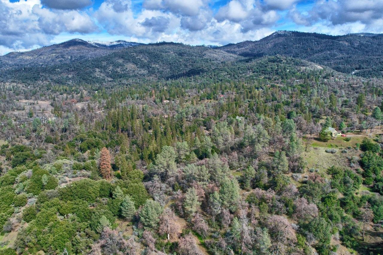 42583 Shady Ln, Oakhurst, CA 93644