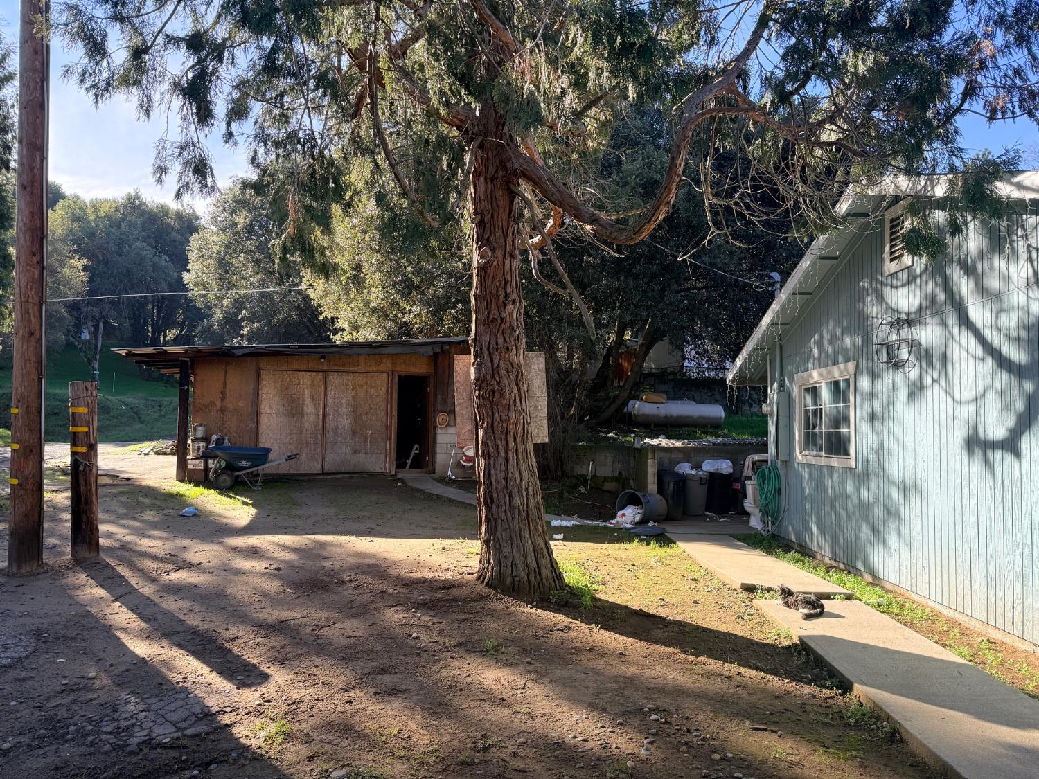 50155 Hangtree, Oakhurst, CA 93644