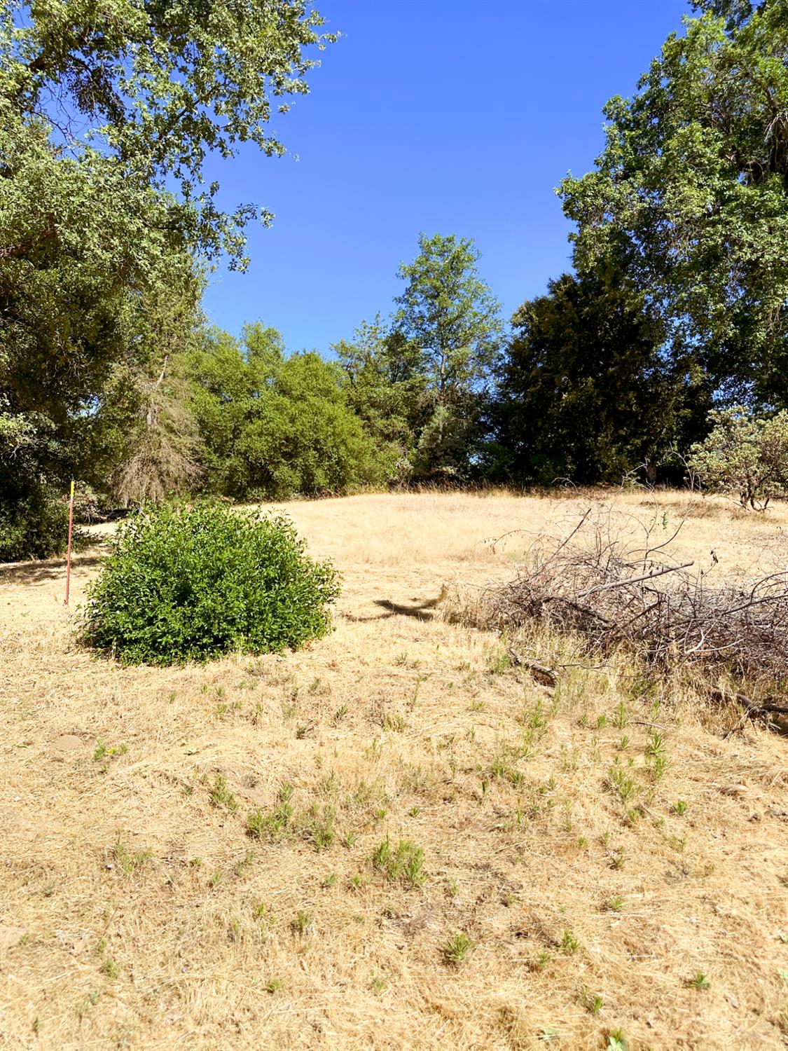 37969 Road 422, Oakhurst, CA 93644