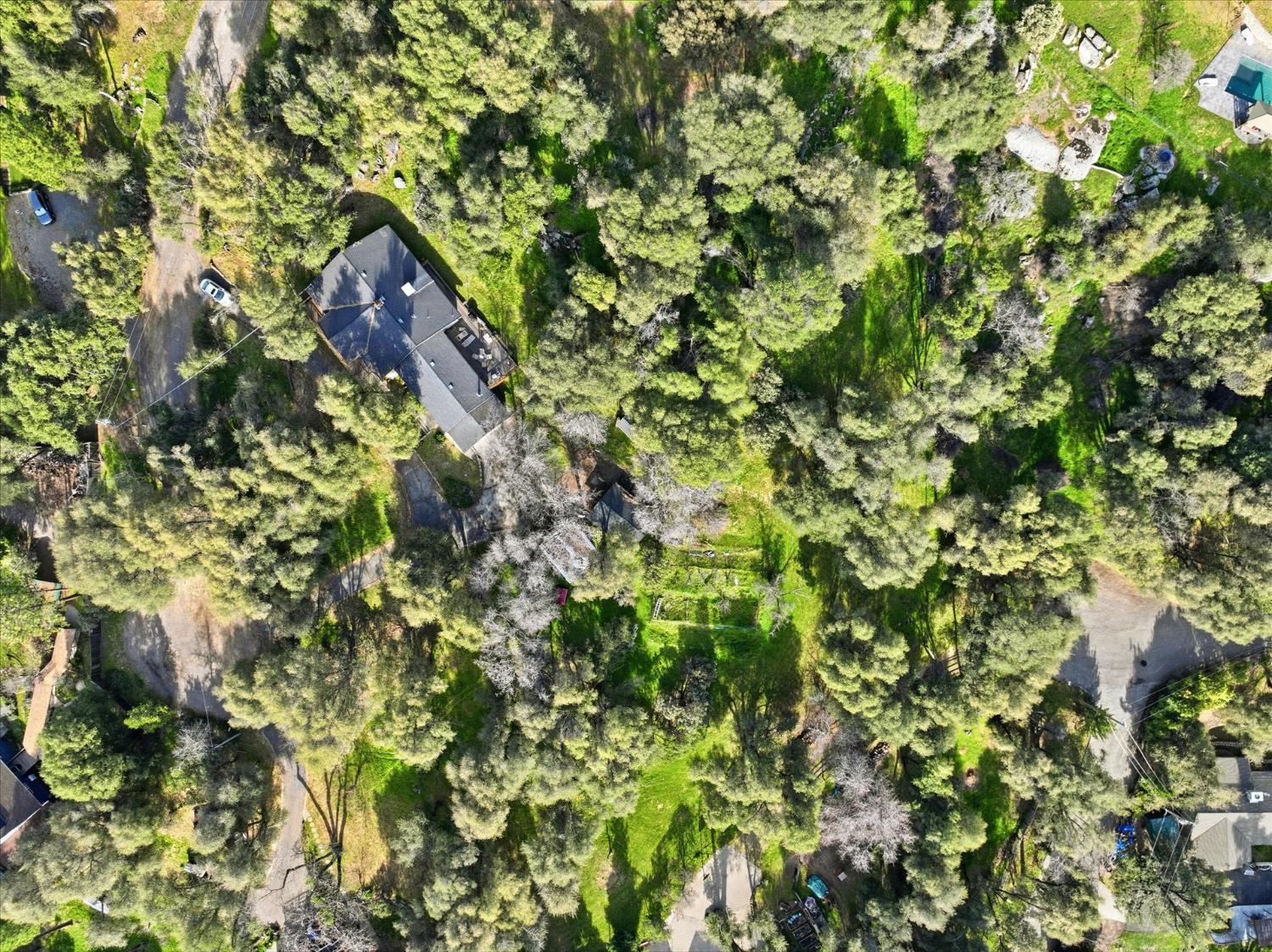 51590 Coyote Ridge Rd, Oakhurst, CA 93644