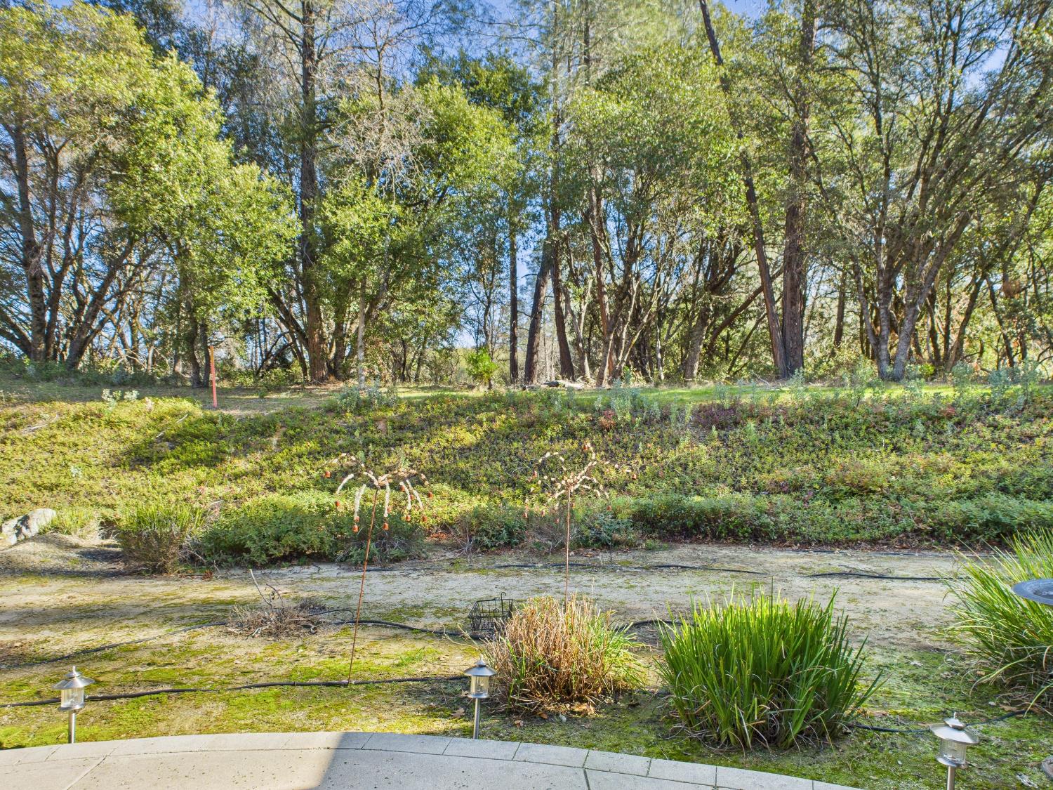 37550 Mountain Lakes Rd, Oakhurst, CA 93644