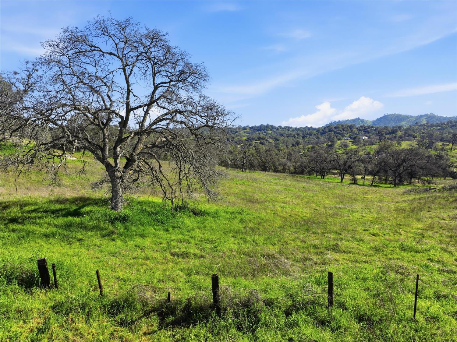 0 13.5AC Road 211, Friant, CA 93626