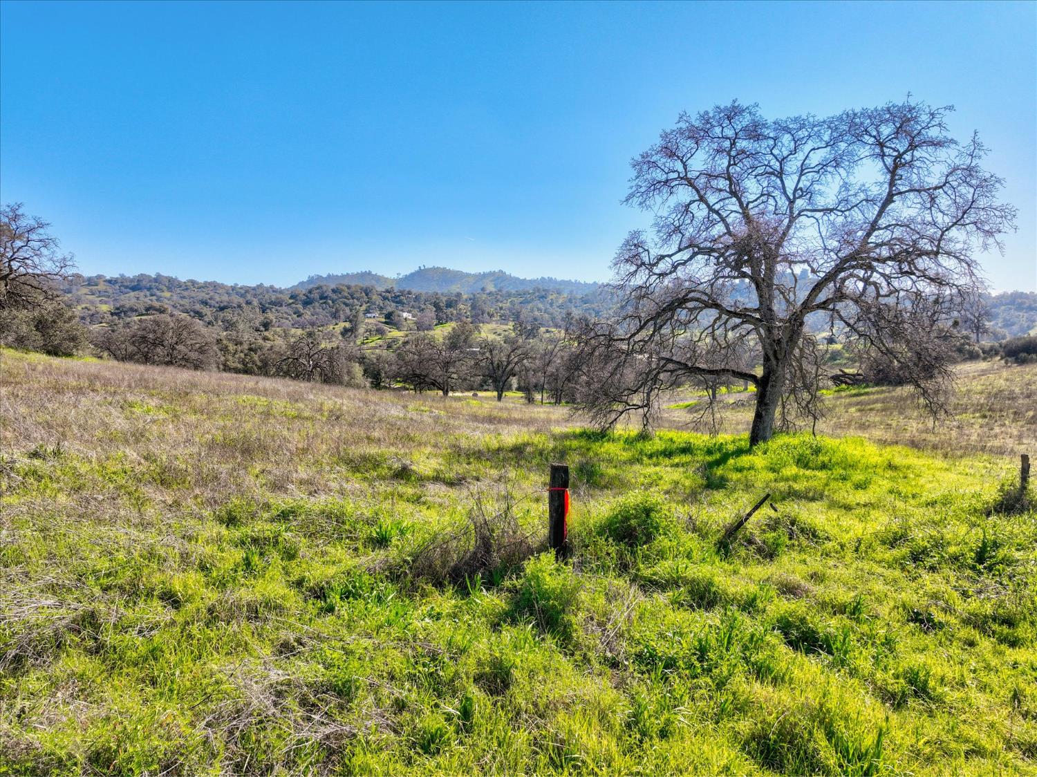 0 13.5AC Road 211, Friant, CA 93626
