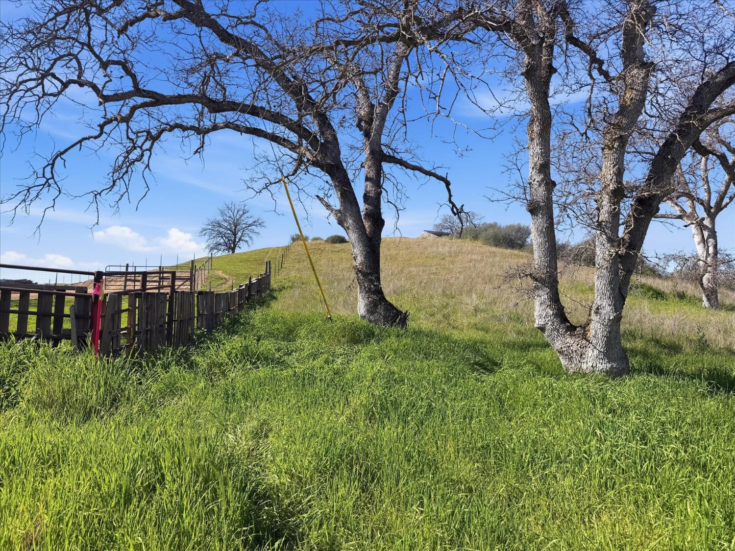 0 13.5AC Road 211, Friant, CA 93626