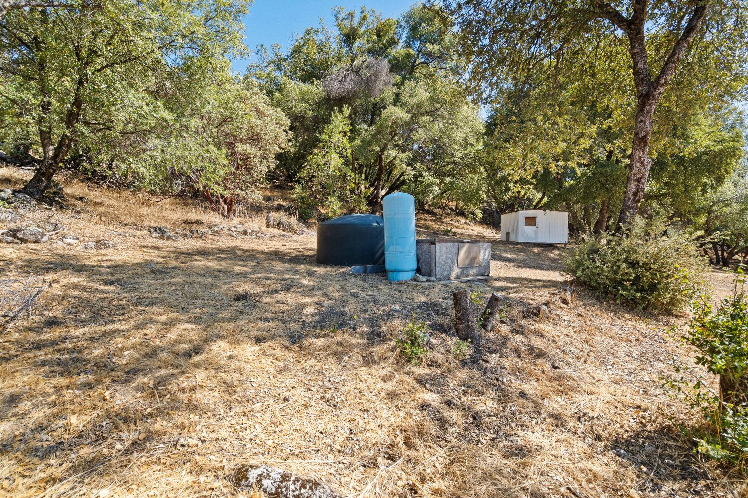 40882 Jean Rd E, Oakhurst, CA 93644