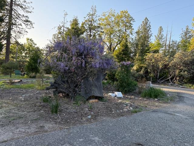 39468 Summit Dr, Oakhurst, CA 93644
