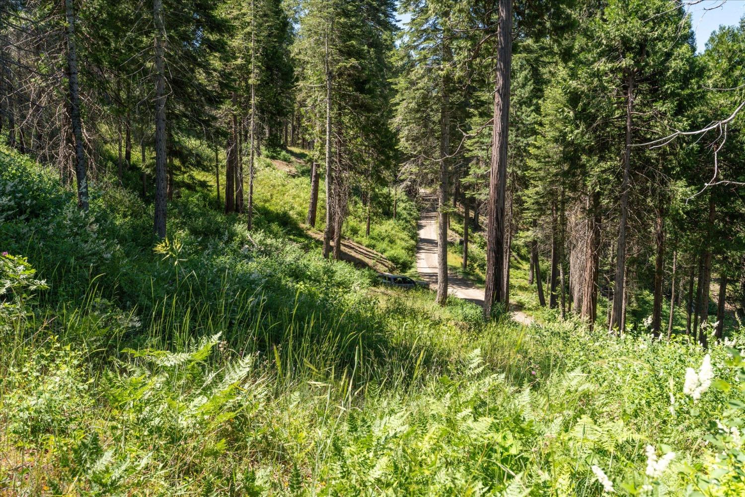 47824 Brammer Purl, Oakhurst, CA 93644