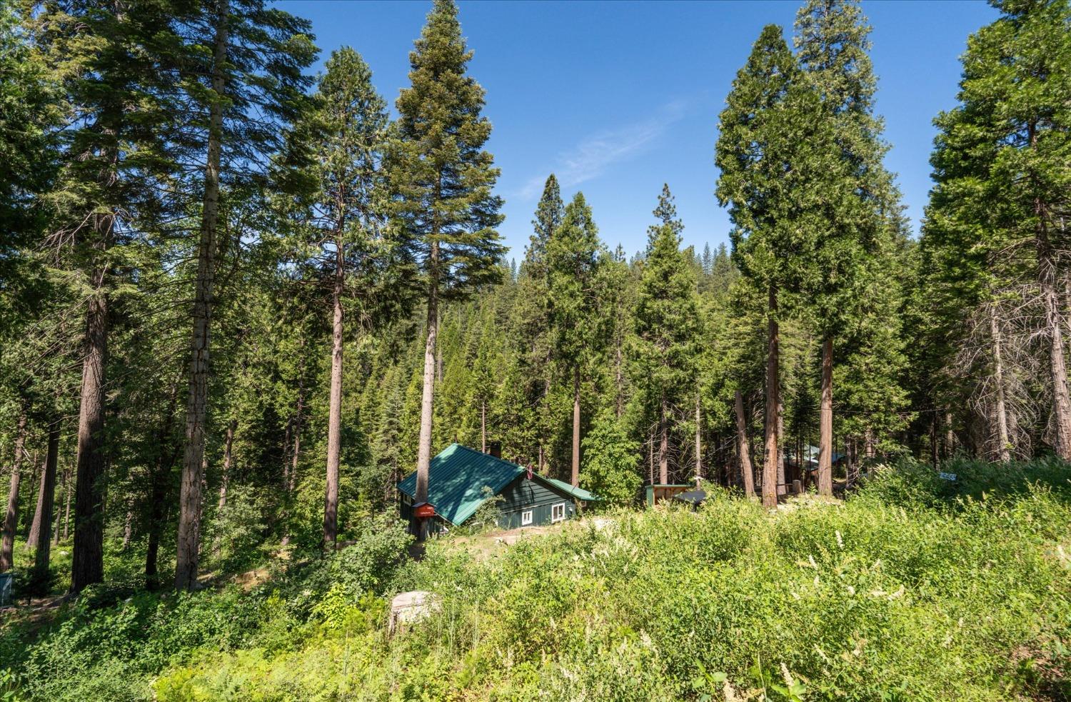 47824 Brammer Purl, Oakhurst, CA 93644