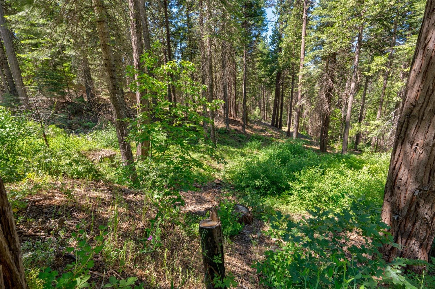 47824 Brammer Purl, Oakhurst, CA 93644