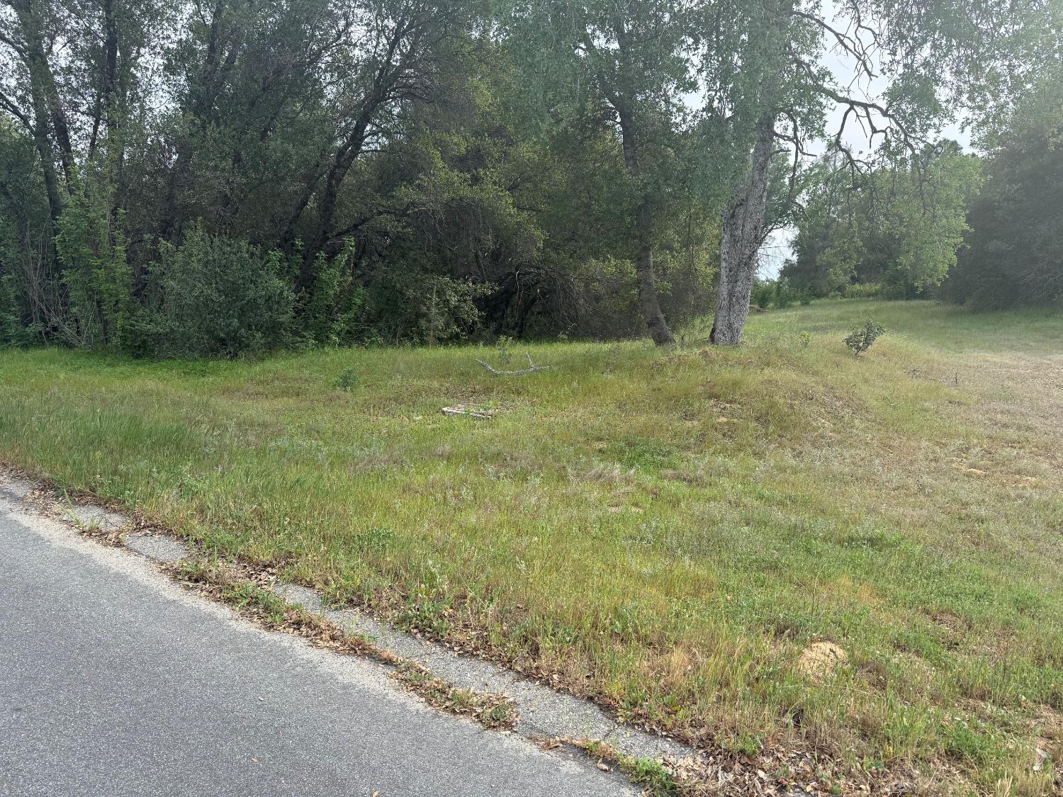 0 Lot #79 Sunshine Terrace Dr, Coarsegold, CA 93614