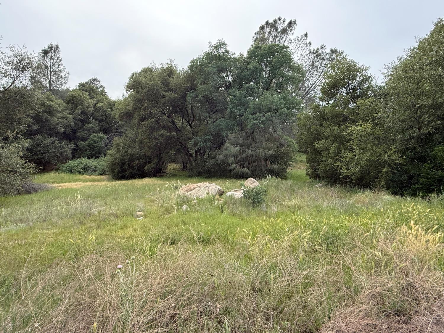 0 Lot #79 Sunshine Terrace Dr, Coarsegold, CA 93614