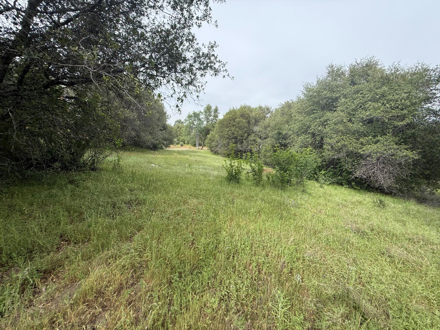 0 Lot #79 Sunshine Terrace Dr, Coarsegold, CA 93614