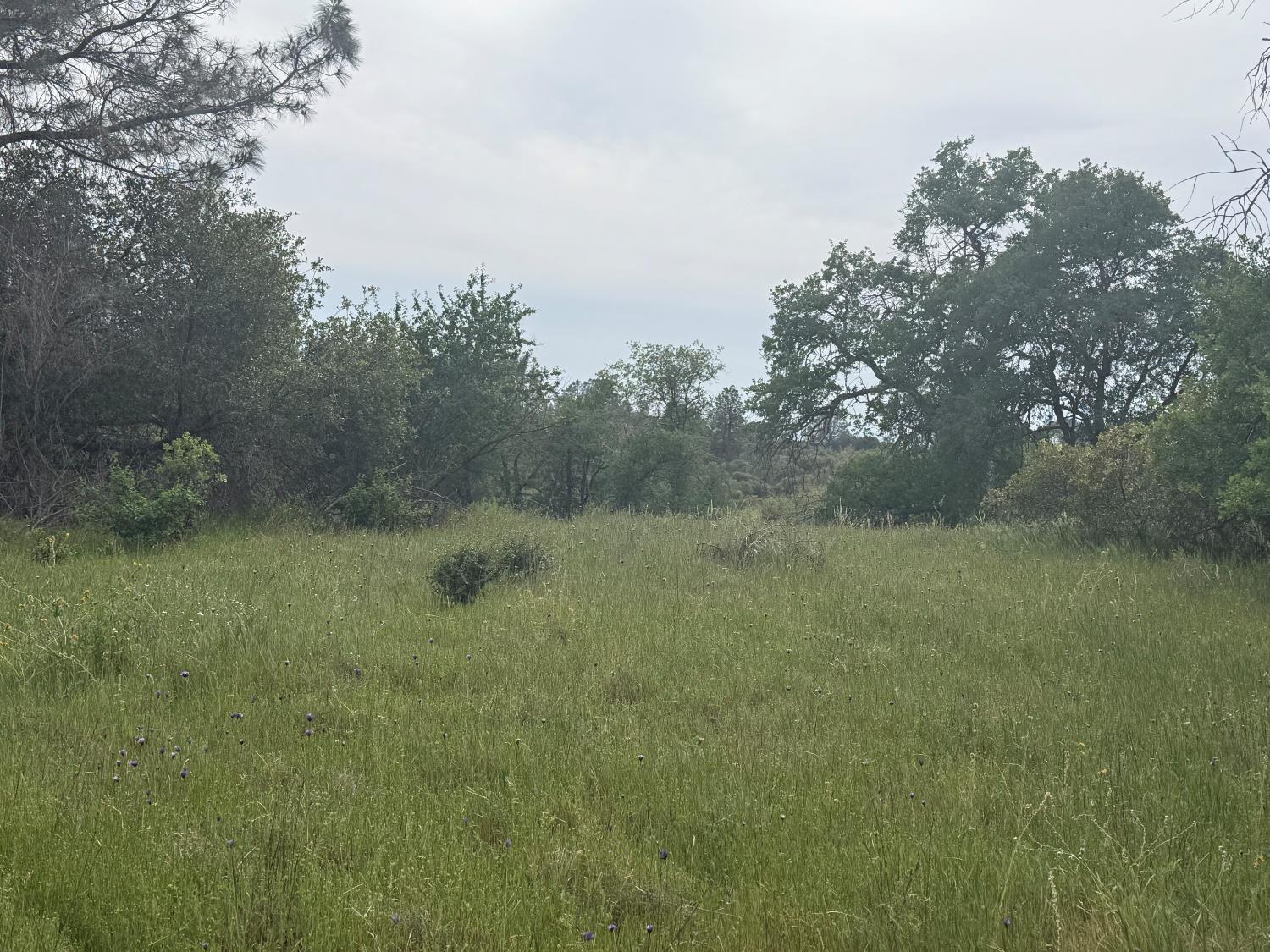 0 Lot #79 Sunshine Terrace Dr, Coarsegold, CA 93614