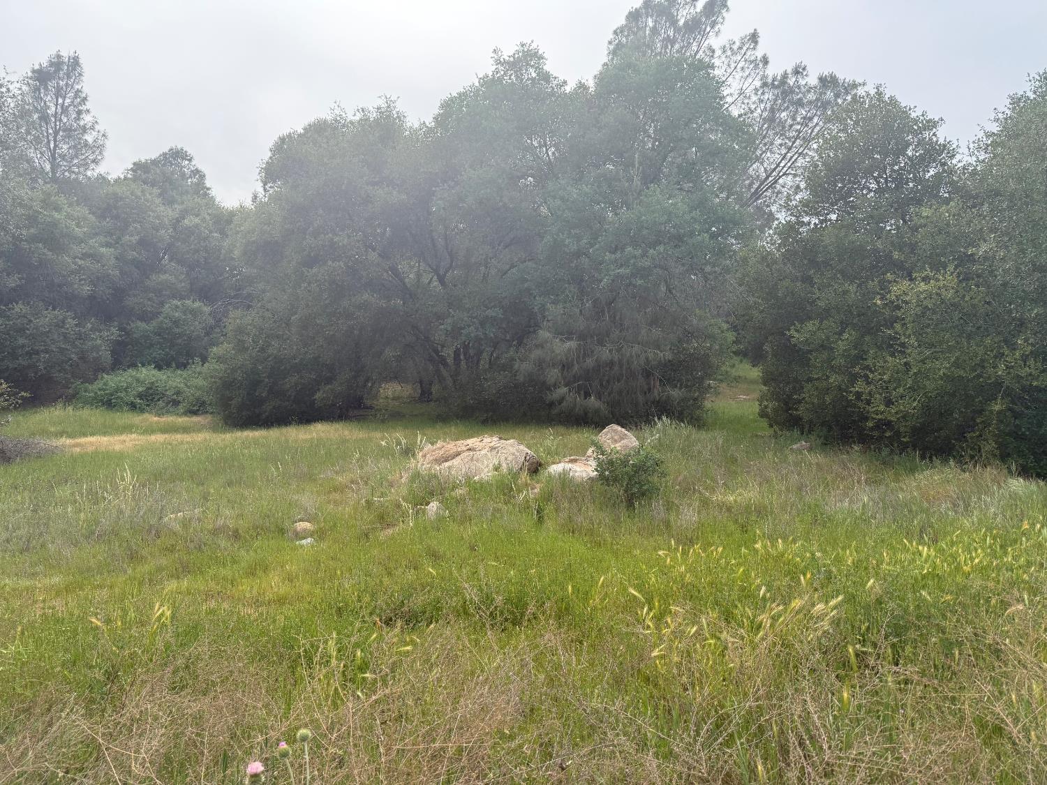 0 Lot #79 Sunshine Terrace Dr, Coarsegold, CA 93614