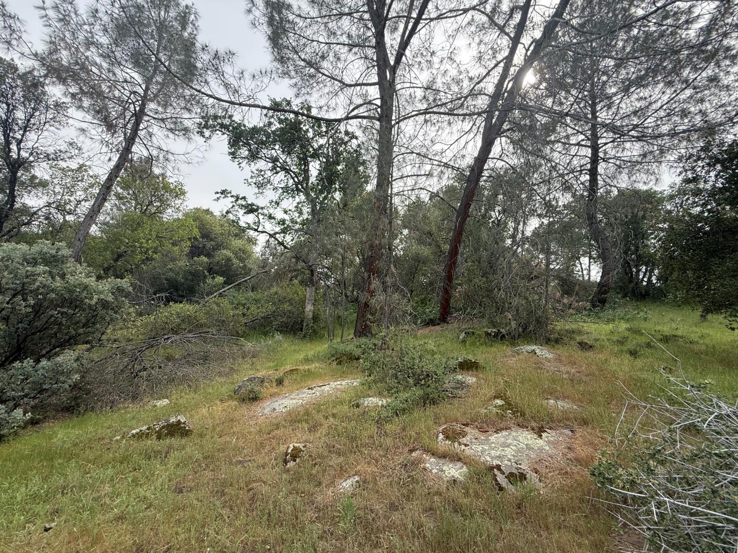 0 Lot #79 Sunshine Terrace Dr, Coarsegold, CA 93614