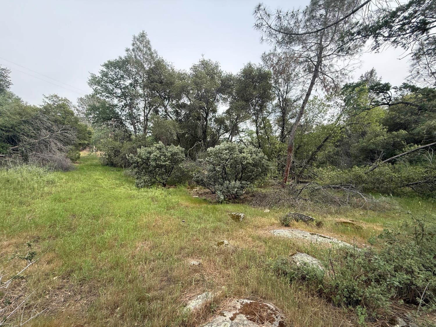 0 Lot #79 Sunshine Terrace Dr, Coarsegold, CA 93614