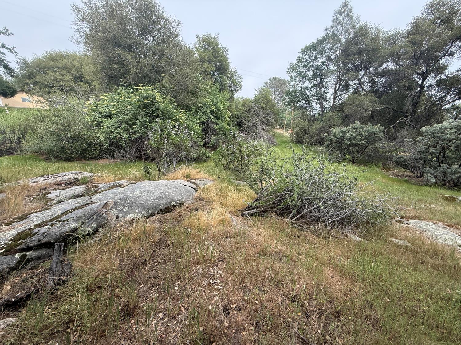 0 Lot #79 Sunshine Terrace Dr, Coarsegold, CA 93614