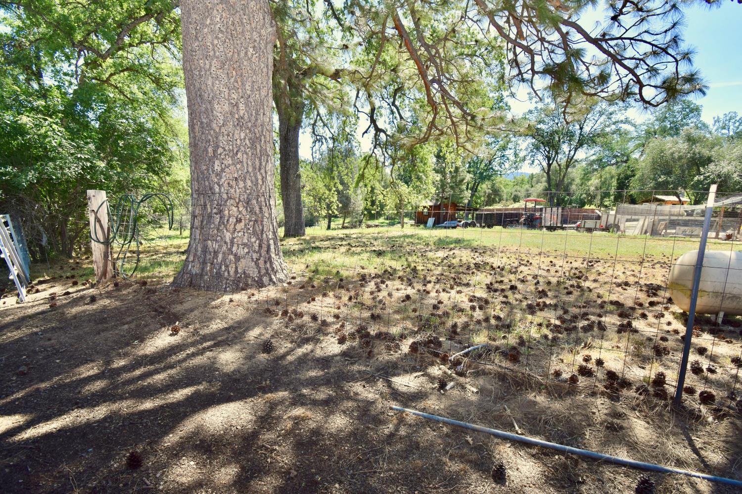 39384 Road 425B, Oakhurst, CA 93644