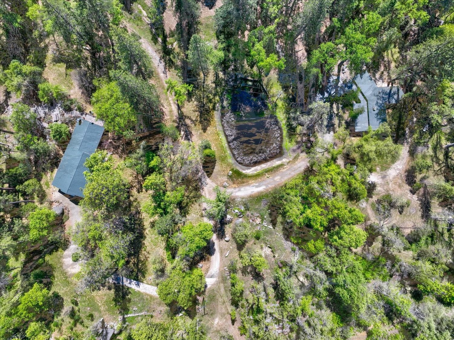 37733 37736 Black Ranch Rd, Oakhurst, CA 93644