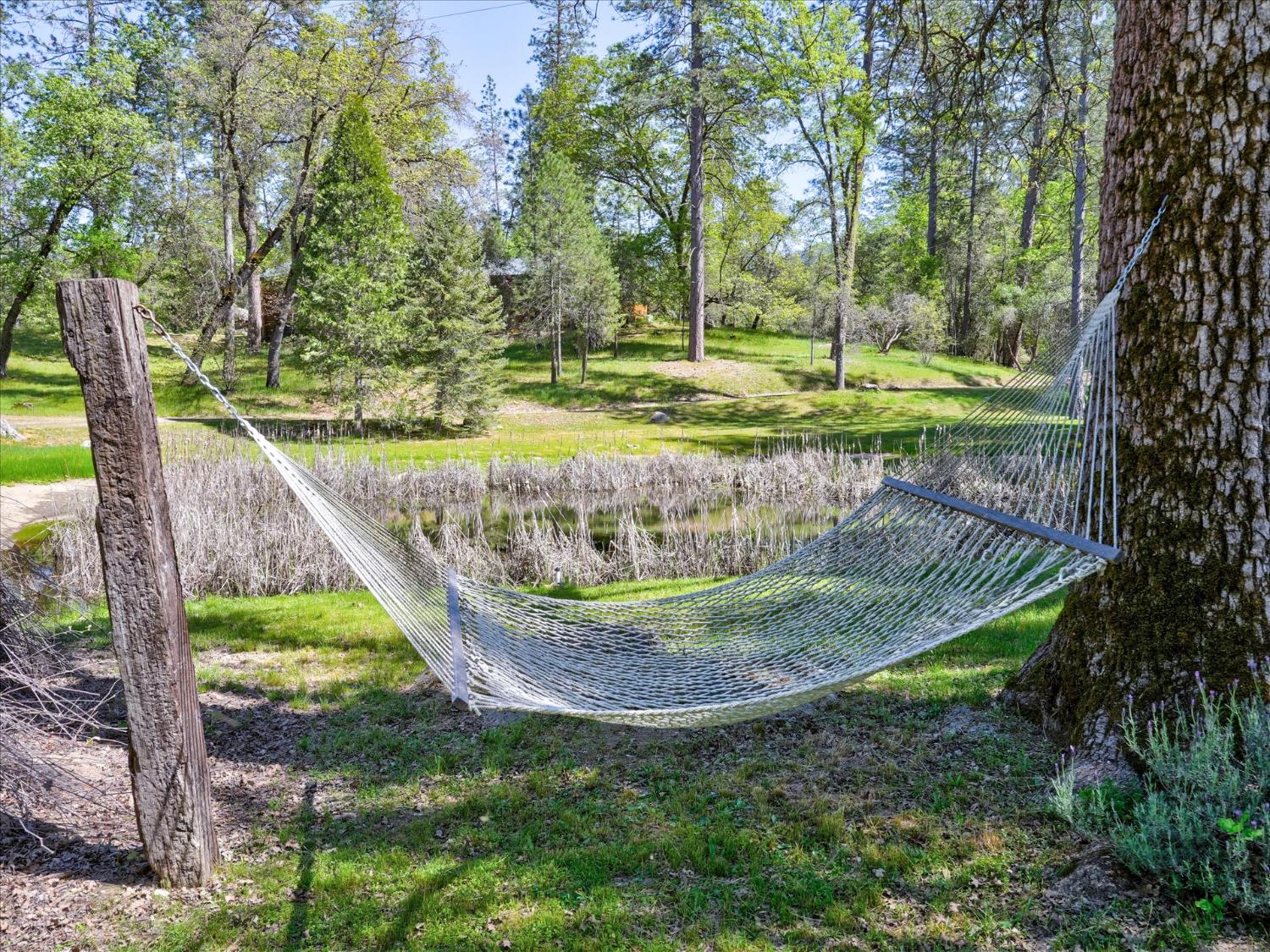 37733 37736 Black Ranch Rd, Oakhurst, CA 93644